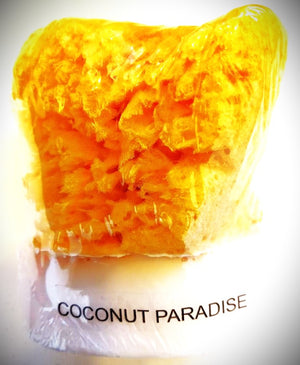 Coconut Paradise Natural Sea Sponge Soap