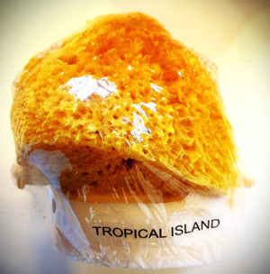 Tropical Island Natural Sea Sponge Soap